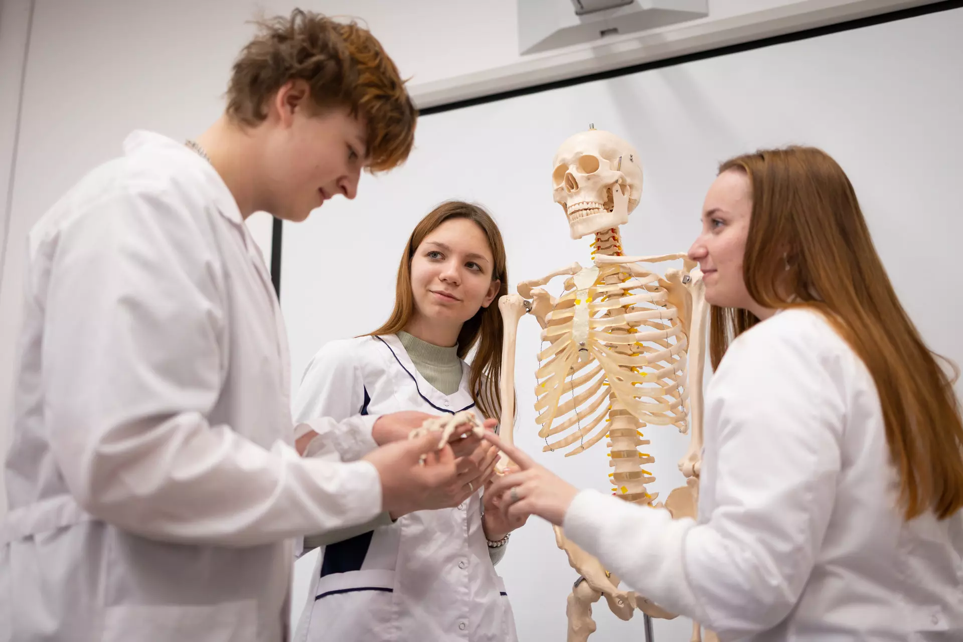 Старшая медсестра: чем занимается, как ей стать