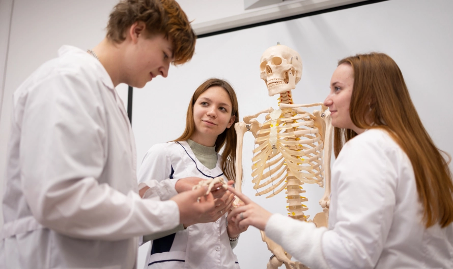 Стоит ли учиться на врача: трудный, но захватывающий путь в медицину