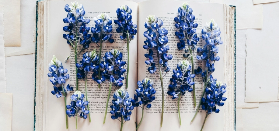 Какие ЕГЭ будут сдавать выпускники 2024 года