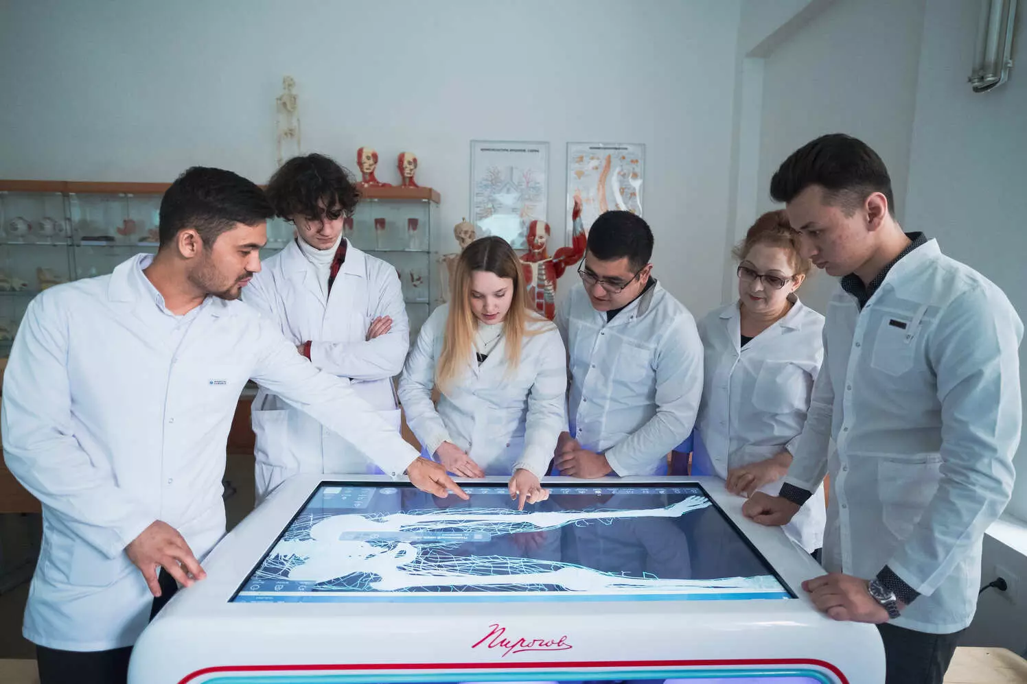 Олимпиады по анатомии для студентов медицинских колледжей 2024/2025