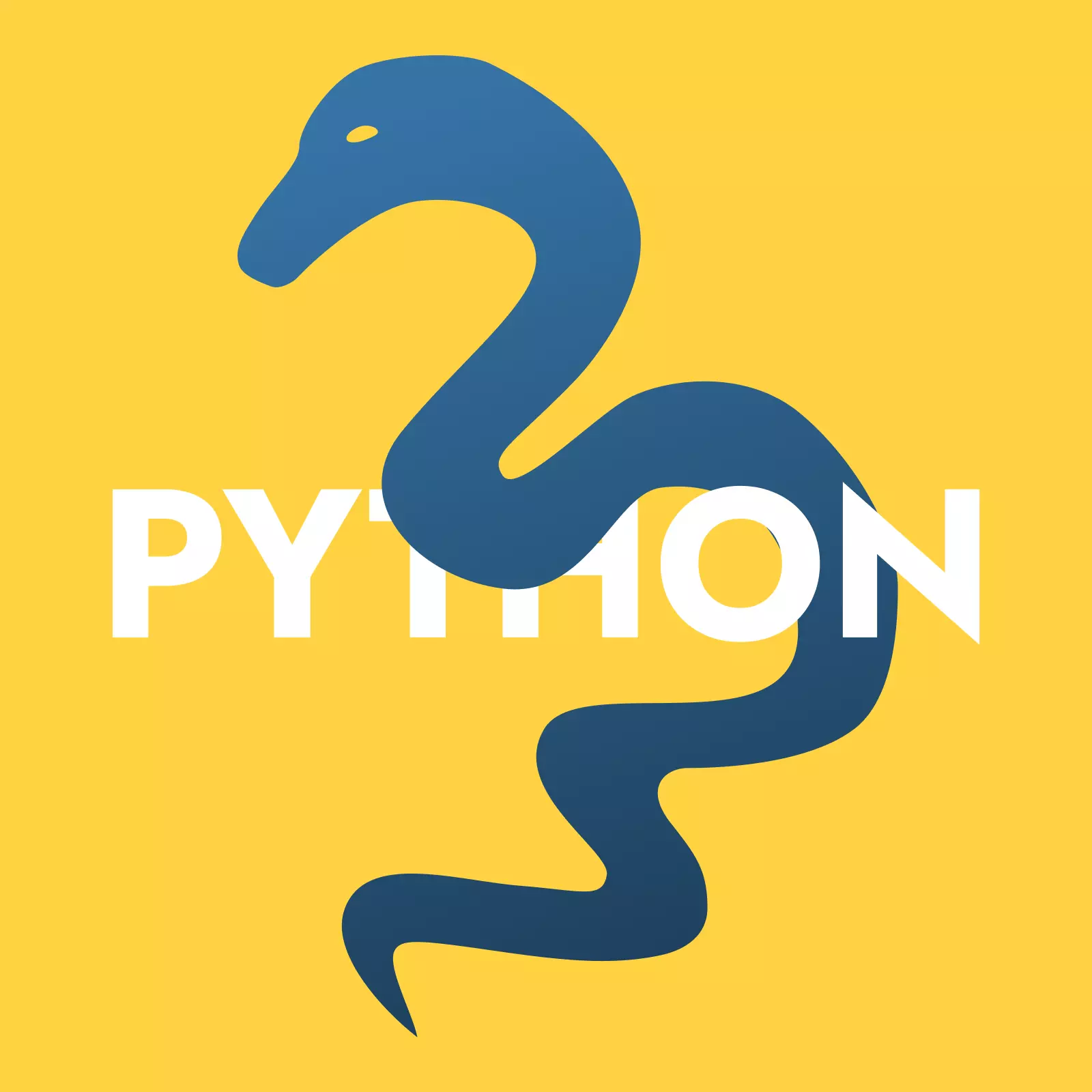 От веб-разработки до ИИ: какие задачи можно решать с помощью Python