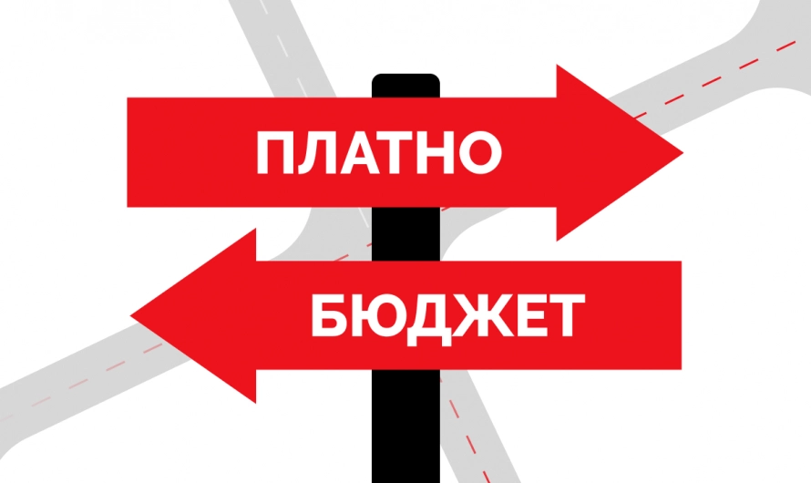 Поступать в вуз платно или на бюджет — как выбрать?